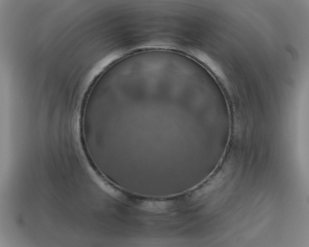 X0000113781237200910071217