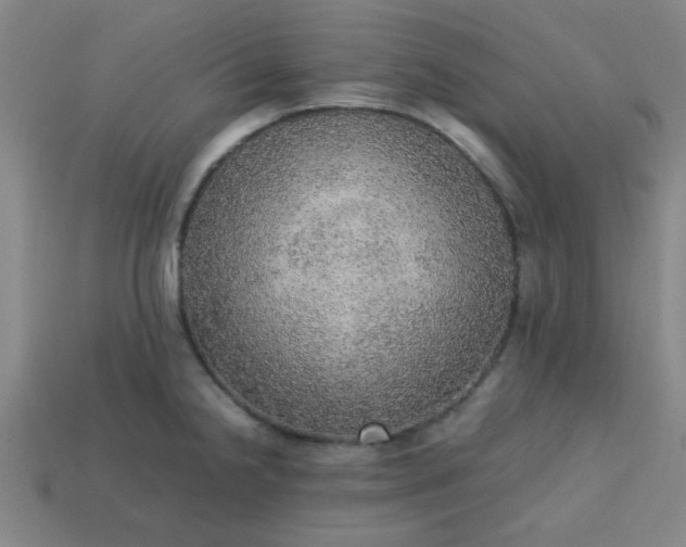 X0000113781238200910071217