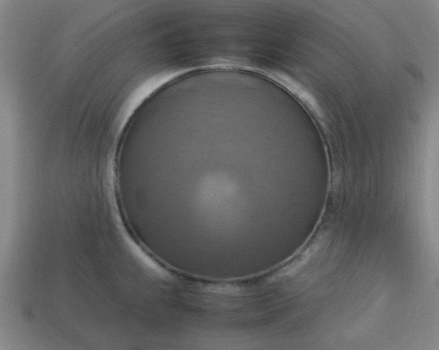 X0000113781239200910071217