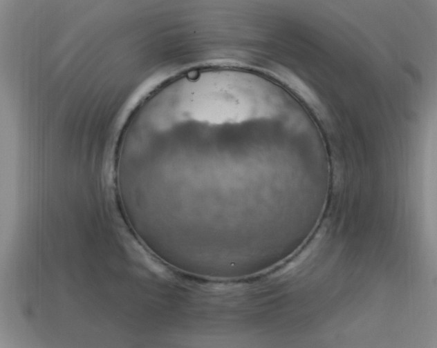 X0000113781240200910071217