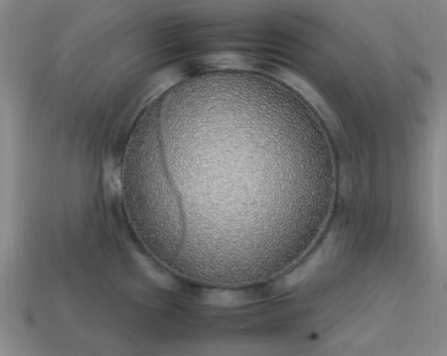 X0000113781241200910071217