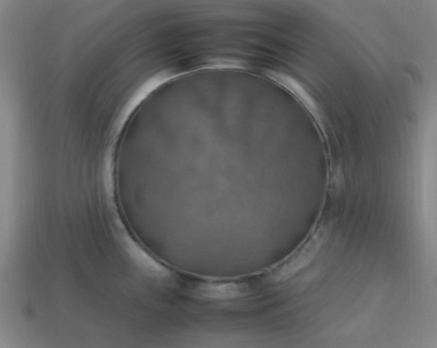 X0000113781243200910071217