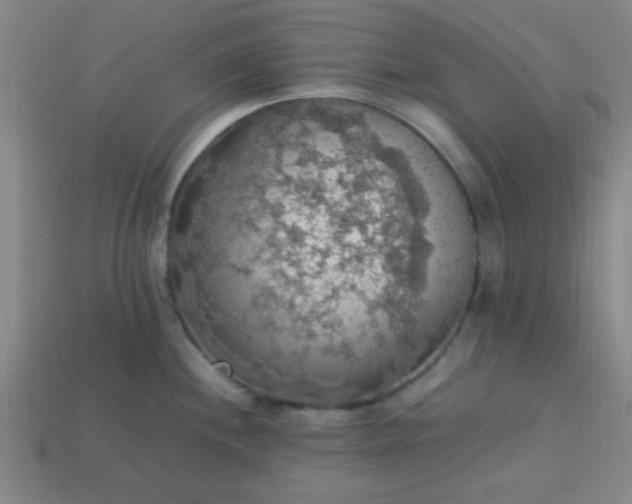 X0000113781244200910071217