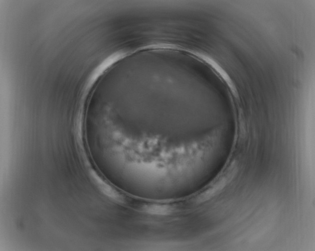 X0000113781245200910071217