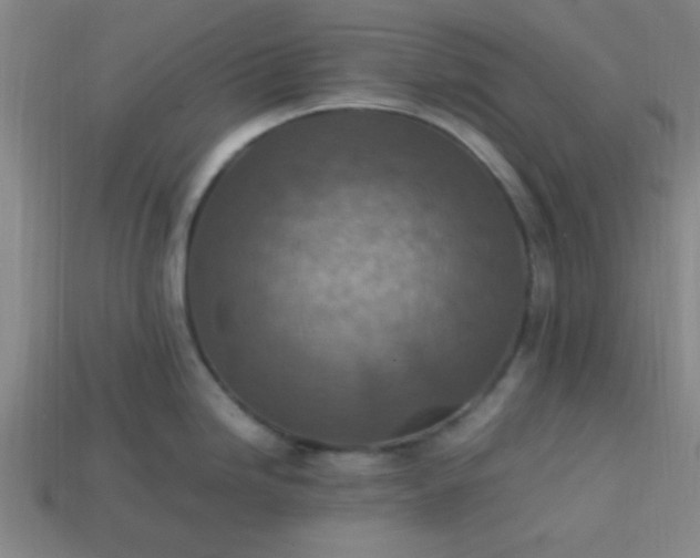 X0000113781246200910071217