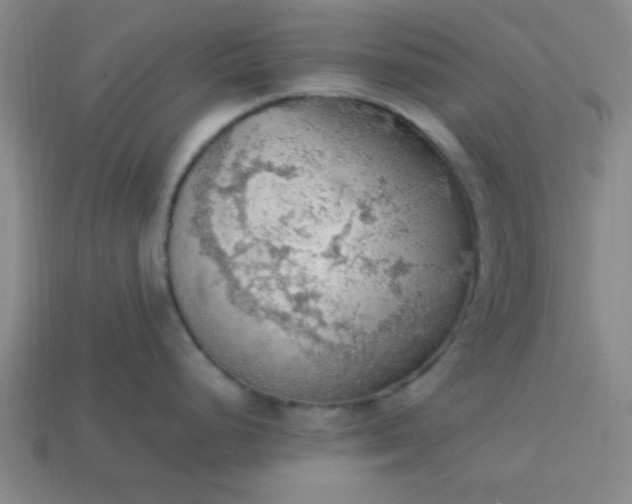 X0000113781248200910071217