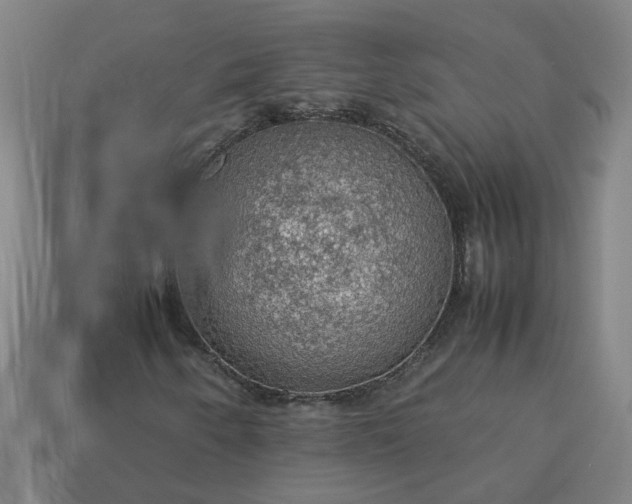 X0000113781250200910071217