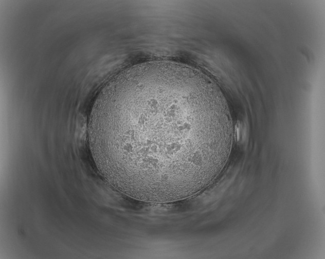 X0000113781251200910071217