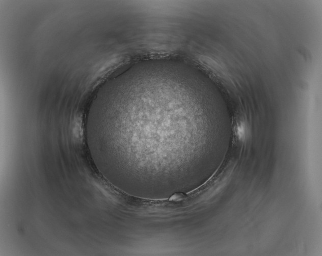 X0000113781252200910071217