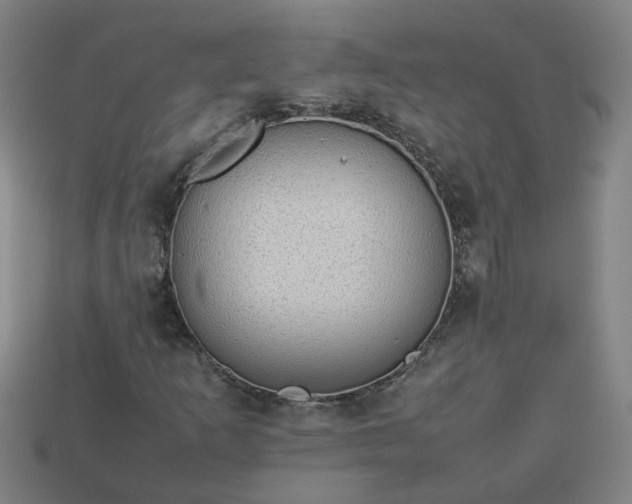 X0000113781253200910071217