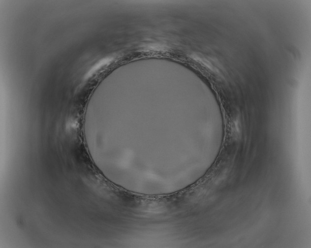 X0000113781254200910071217