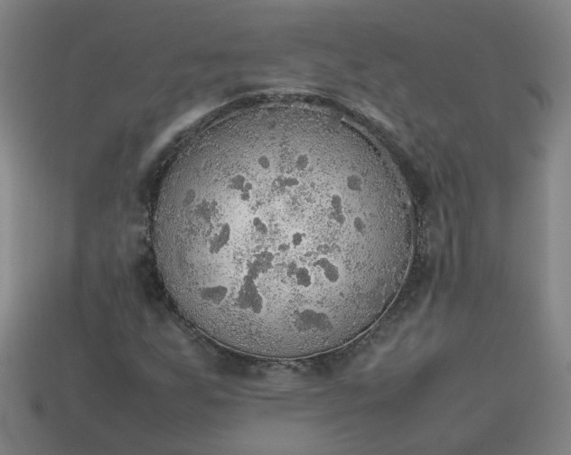 X0000113781255200910071217