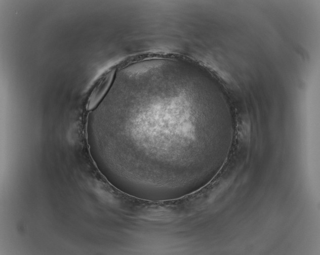 X0000113781256200910071216