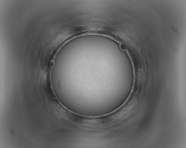 X0000113781257200910071216