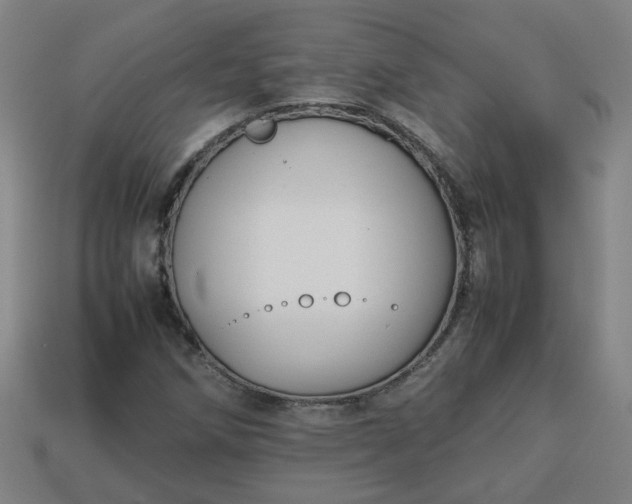 X0000113781258200910071216