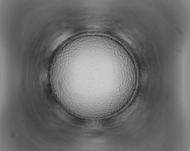 X0000113781259200910071216