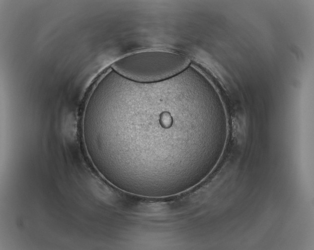 X0000113781260200910071216