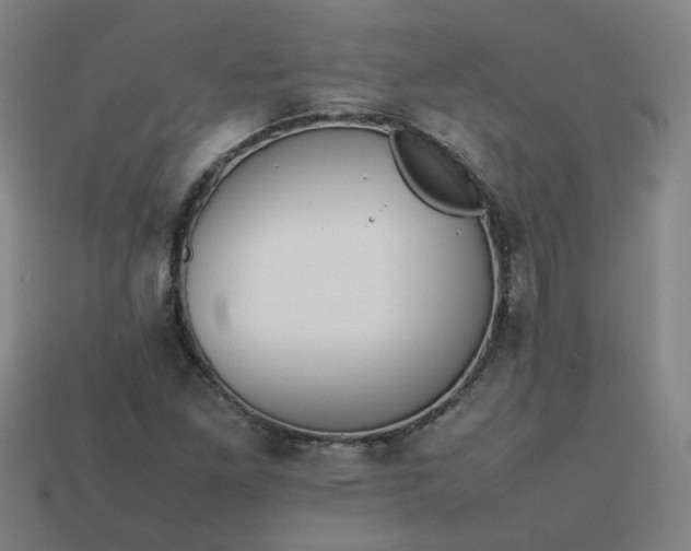 X0000113781261200910071216