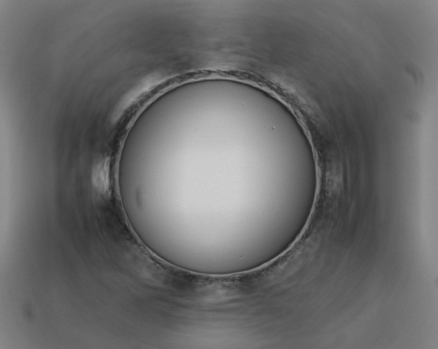 X0000113781262200910071216