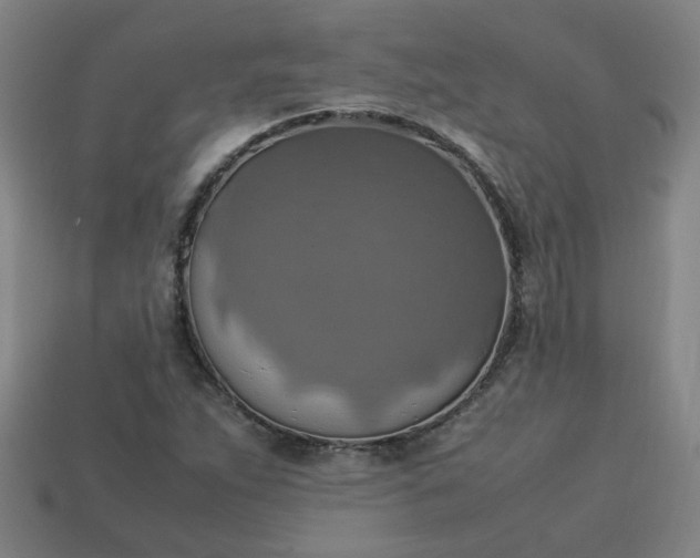 X0000113781263200910071216