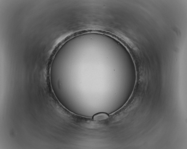 X0000113781264200910071216