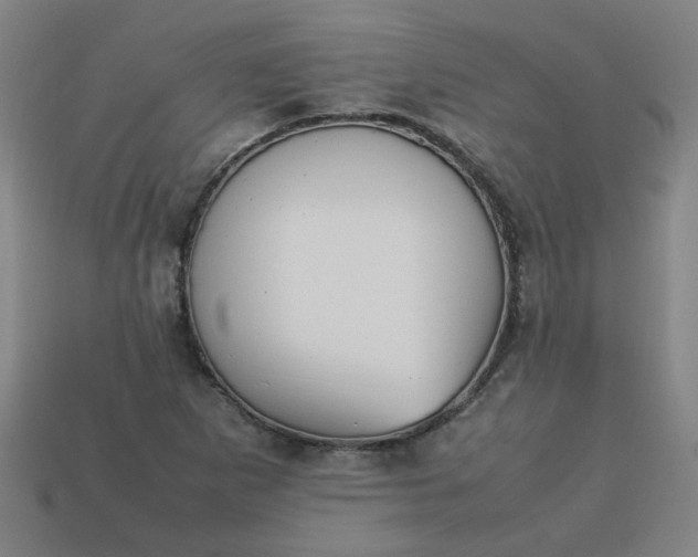 X0000113781265200910071216