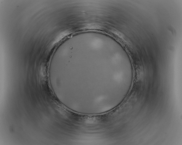 X0000113781266200910071216