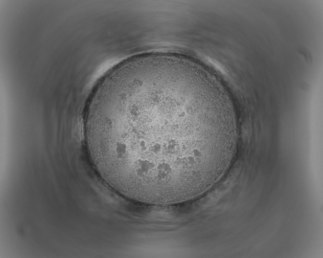 X0000113781267200910071216