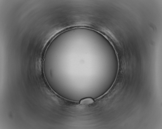 X0000113781268200910071216