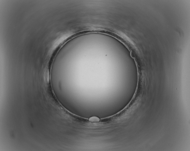 X0000113781269200910071216