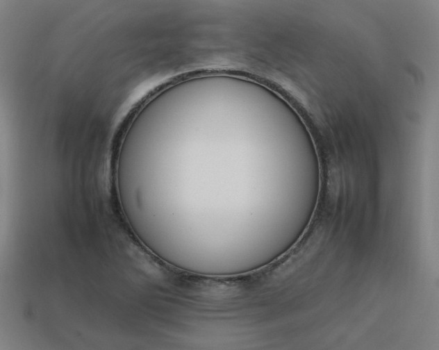 X0000113781270200910071216