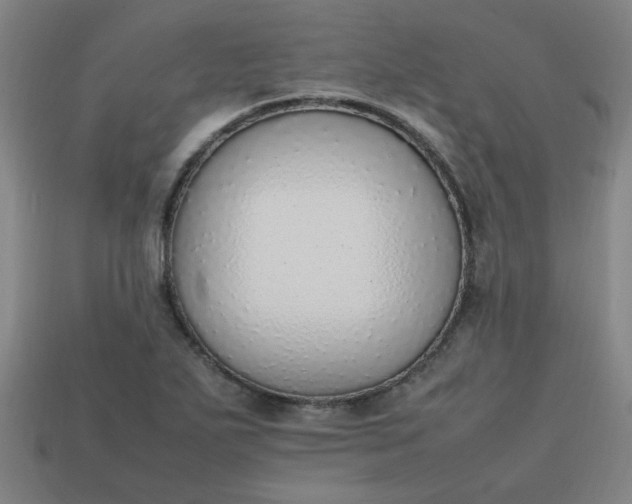 X0000113781271200910071216