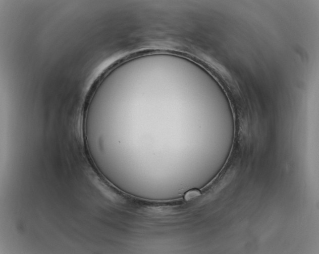 X0000113781272200910071216