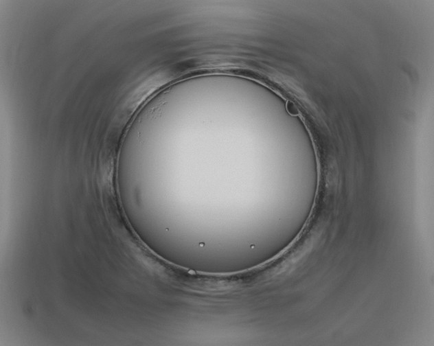 X0000113781273200910071216