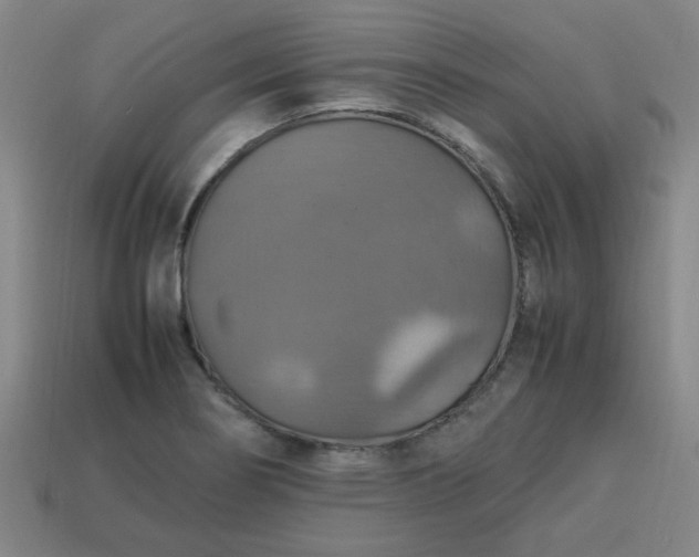 X0000113781274200910071216