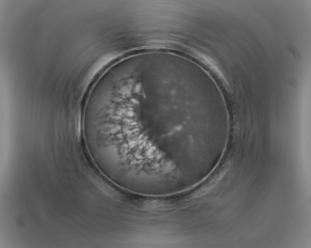 X0000113781275200910071216