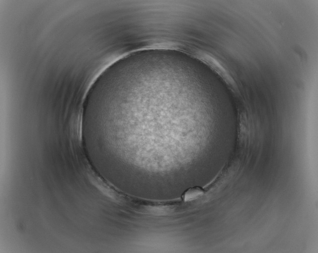 X0000113781276200910071216