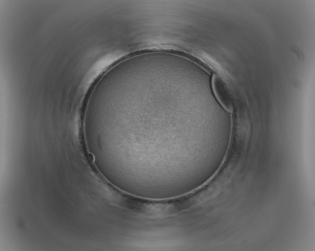 X0000113781277200910071216