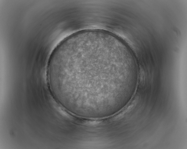 X0000113781278200910071216