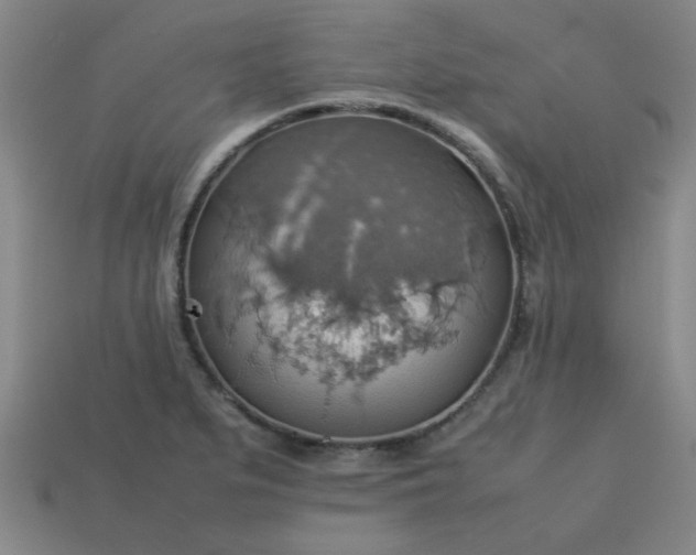 X0000113781279200910071216