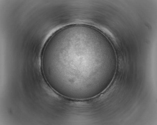 X0000113781280200910071216