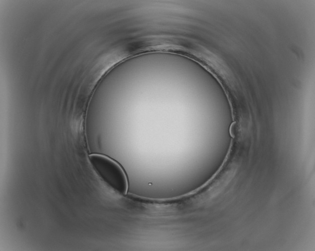 X0000113781281200910071216