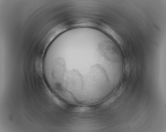 X0000113781282200910071216