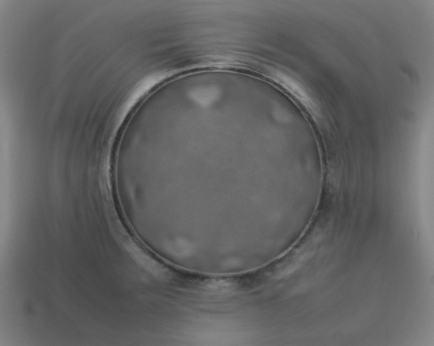 X0000113781283200910071216