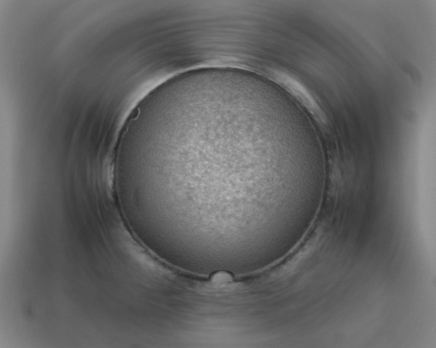 X0000113781284200910071216