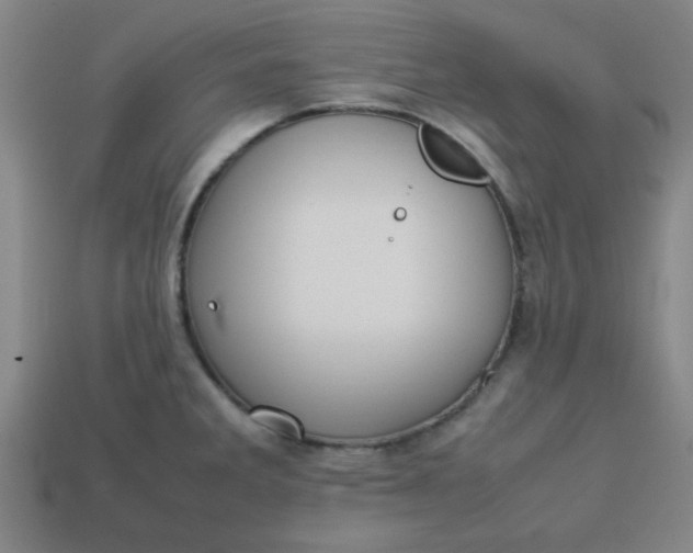 X0000113781285200910071216