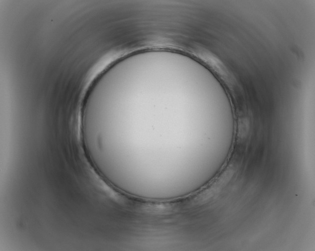 X0000113781286200910071216