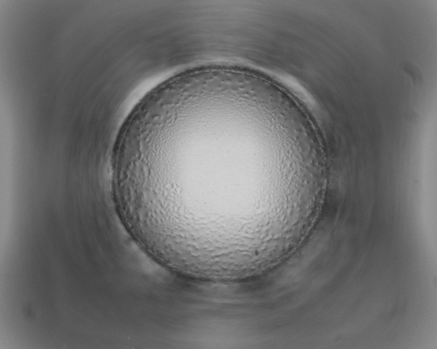 X0000113781287200910071216