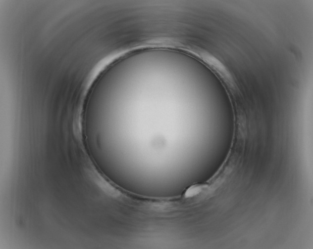 X0000113781288200910071216