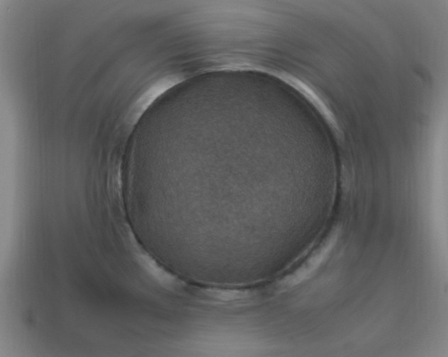 X0000113781289200910071216